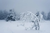 Снегопады и метели накроют Киров: Метеопредупреждение от МЧС