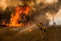 На выходных в Кировской области произошло 6 лесных пожаров