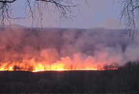 За минувшие 24 часа в Кировской области произошло два лесных пожара