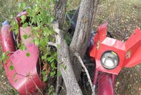 Женщина на мотоцикле "Днепр" врезалась в дерево и погибла