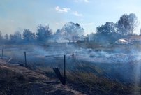 В Кировской области сгорели полтора гектара травы и пять построек