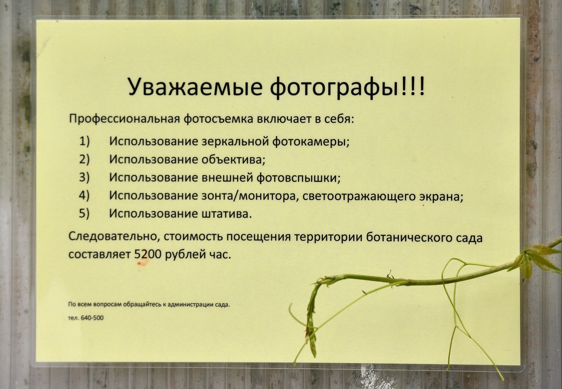 Ботанический Сад Киров Официальный Сайт Магазин