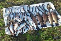 Двум кировчанам грозит срок за ловлю рыбы