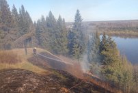 В Кировской области горел лес