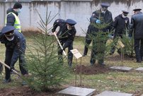 В Кирове в честь погибших сотрудников линейного отдела высадили аллею