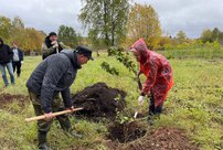 Сотрудники Сбербанка посадили яблоневый сад в селе Великорецкое