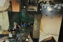 В Кирово-Чепецке при пожаре в квартире погибли 12 кошек