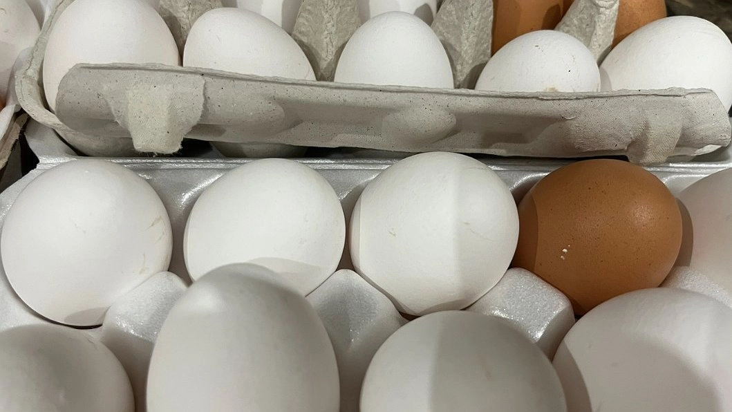 Главная картинка новости: Никогда не кладите яйца после варки в холодную воду - запомните раз и навсегда. Вот как правильно их остудить