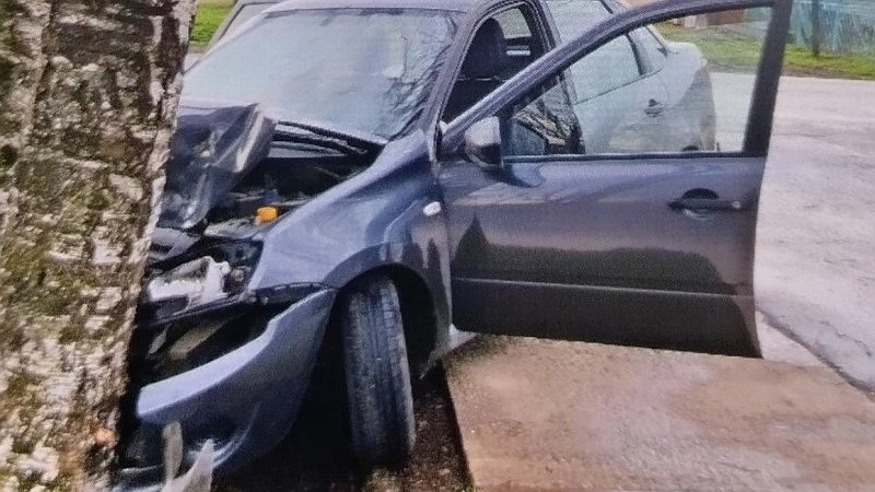 Автомобиль с двумя девушками влетел в дерево в Омутнинске