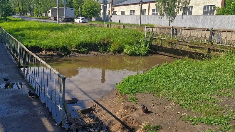 В Кирове очистили реку с умирающими птицами