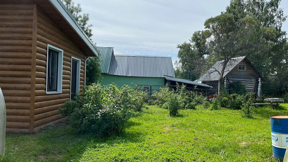 Главная картинка новости: 5 овощей, которые я сажаю под зиму 15 лет и получаю самый ранний урожай, завидуют все соседи