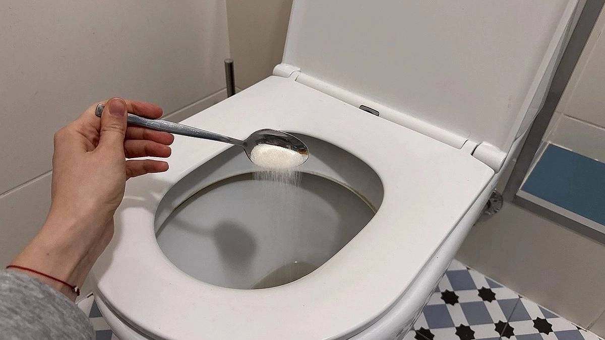 Зачем нужно солить воду в унитазе - запомните раз и на всю жизнь и расскажите друзьям