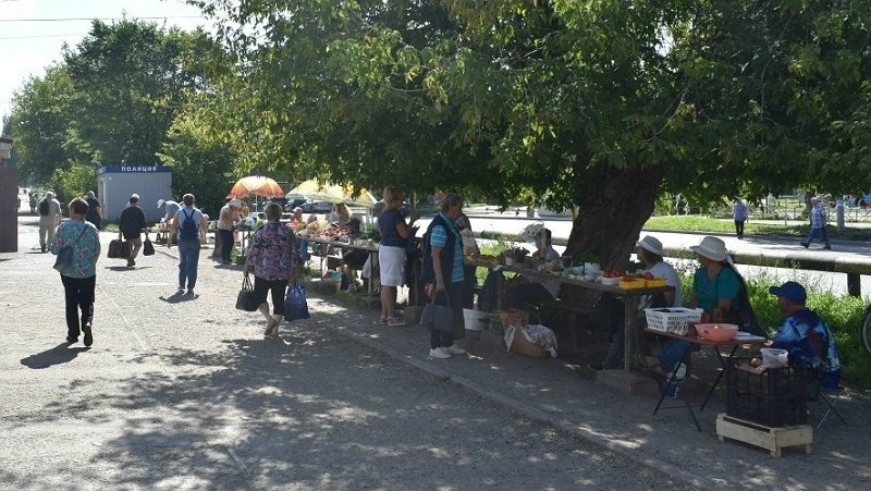 Дачникам дали бесплатные места для торговли на рынках Кирова