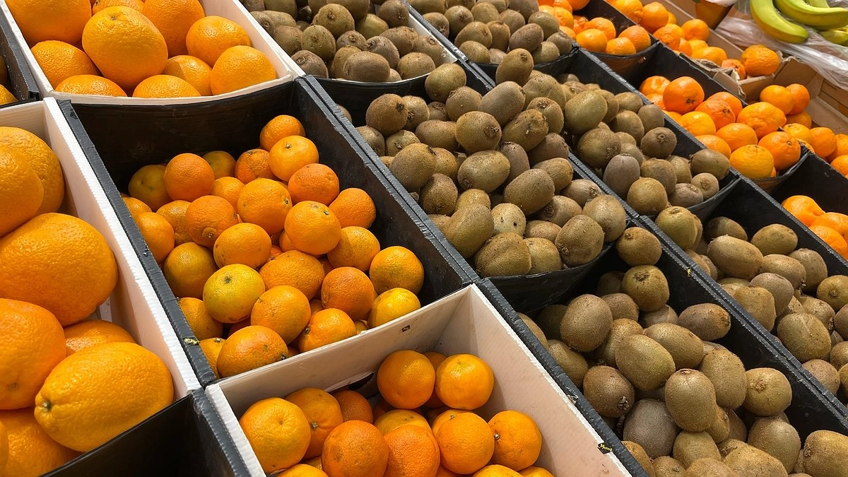 Лучше пусть они сгниют на ветке - собственник сада мандаринов в Абхазии рассказал, почему качественные плоды не доезжают до России