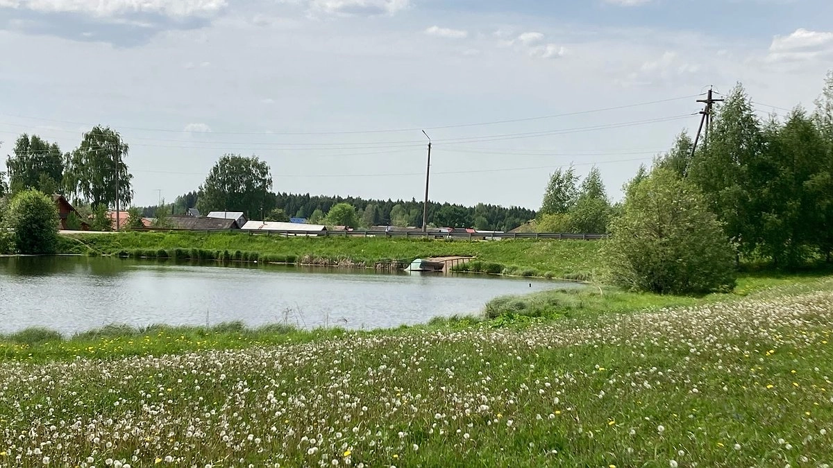 В Кирове на городском пруду утонул молодой мужчина