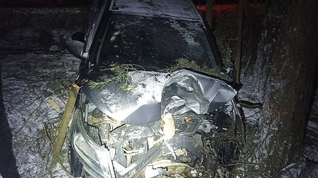 Главная картинка новости: Молодой водитель Kia Rio не справился с управлением, съехал с дороги в Лебяжском районе и врезался в дерево: пострадали 4 человека