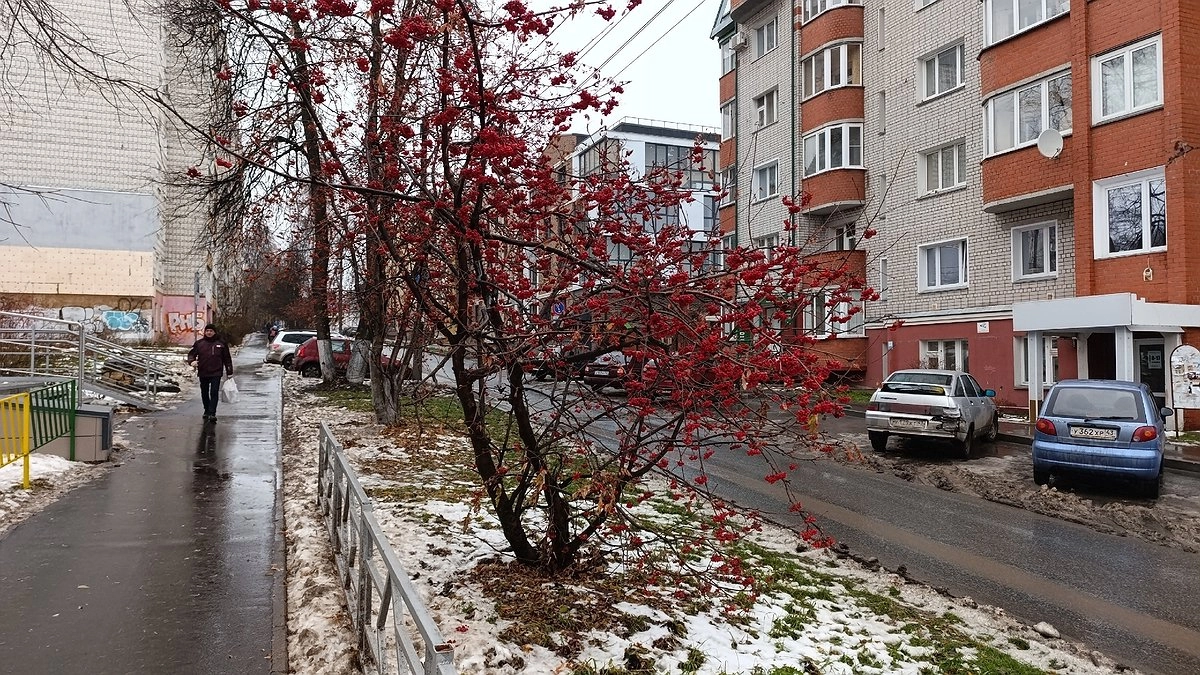 Зима наступит быстро: синоптики назвали даты выпадения первого снега - прогнозы по регионам