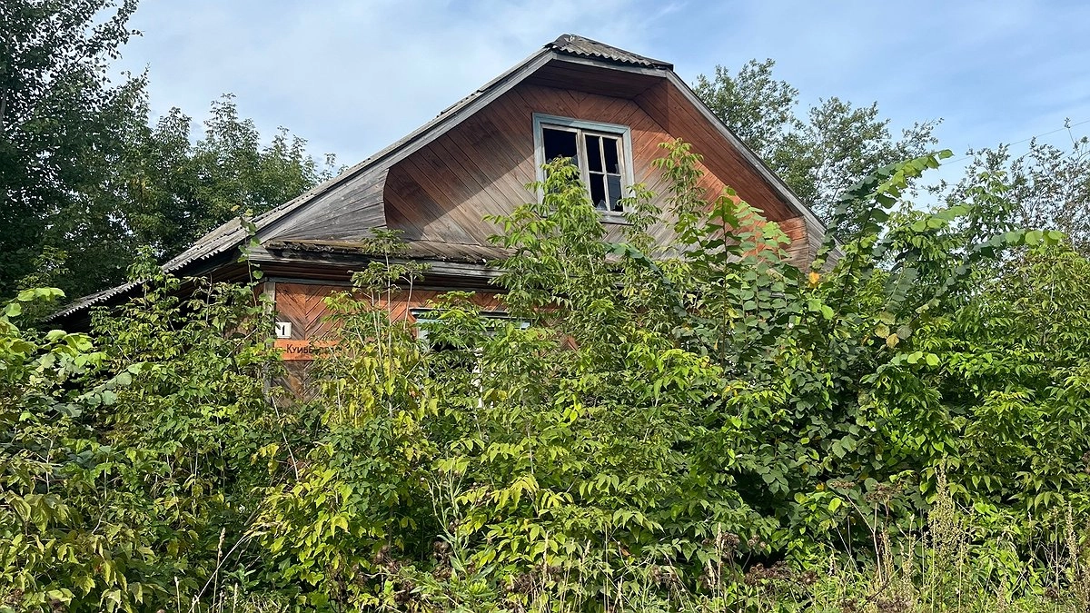 Главная картинка новости: Почему российские деревни такие убогие, а в США красивые, как с картинки: оборотная сторона открытки, которую не любят показывать