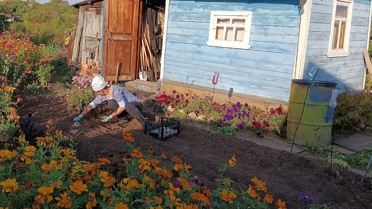 Выбросить всегда успеете: 9 гениальных способов вдохнуть новую жизнь в старые шкафы, столы и стулья на даче