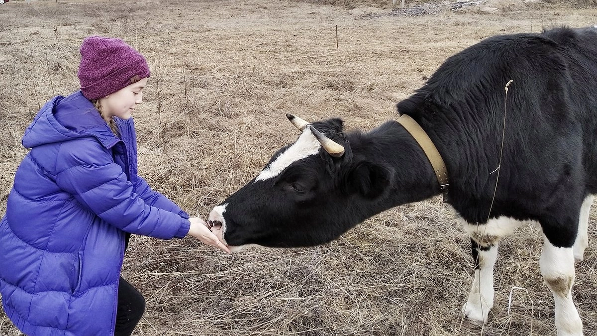 Кировская область вошла в пятерку лучших в России по производству молока