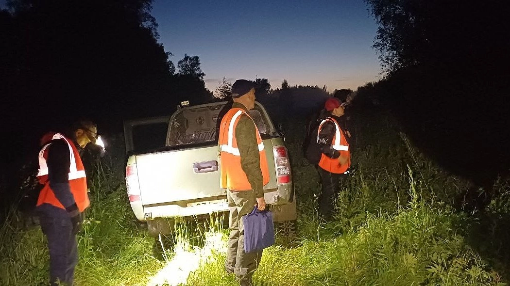 Главная картинка новости: В Кировской области разыскивают 57-летнюю женщину с рыжими волосами