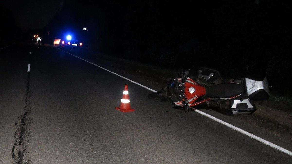 В Юрьянском районе мотоциклист погиб после столкновения с лосем