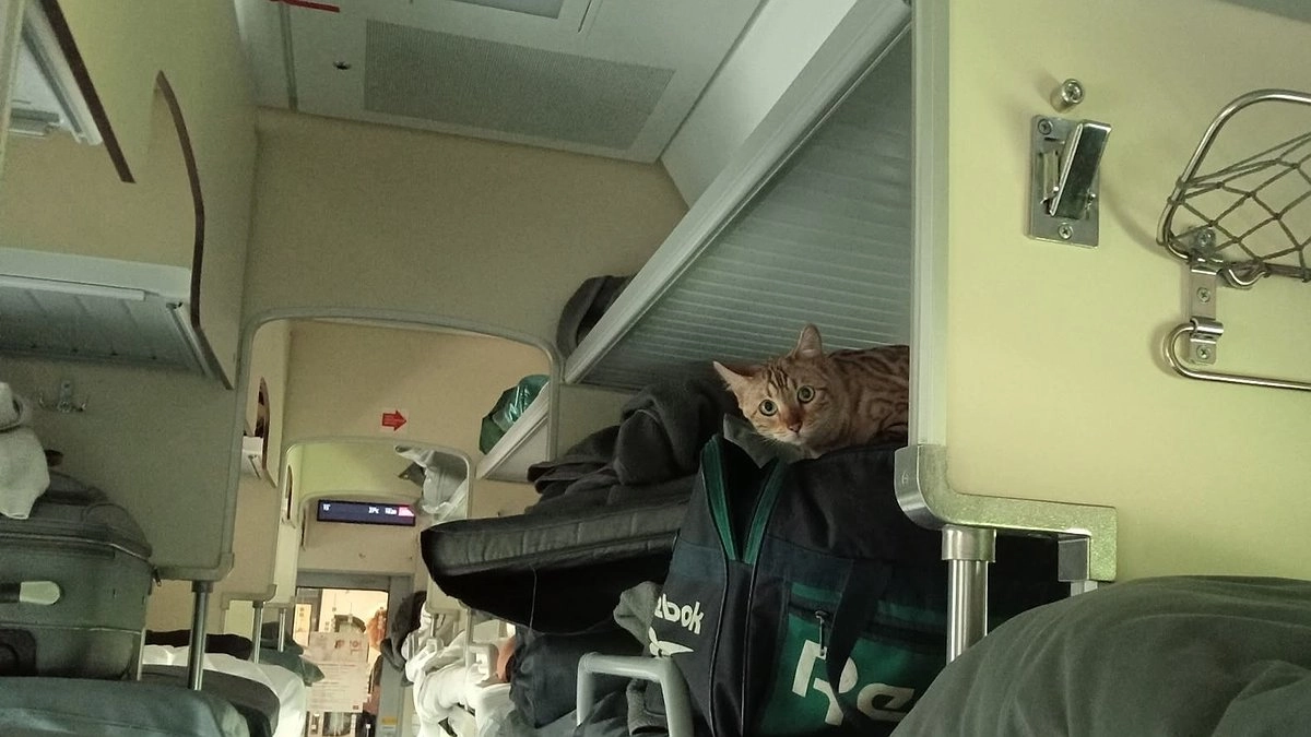 Россияне ахнули: вот как выглядят аналоги плацкарта в других странах — в Европе такого не встретишь, а в Азии вообще шок