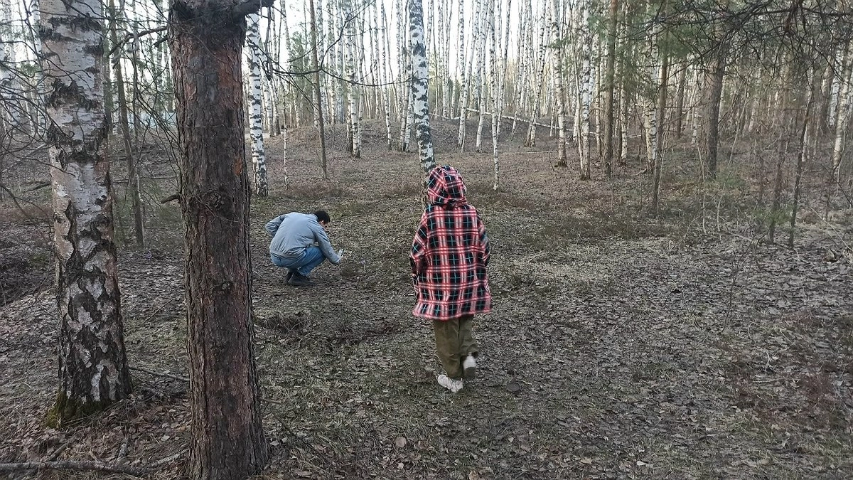 Свалку навоза обнаружили в Кировской области