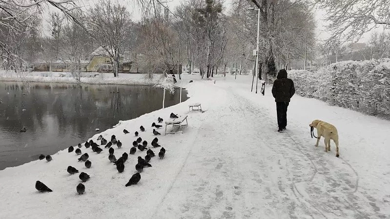 Главная картинка новости: Почему одни дети уважают своих пожилых родителей, а другие - нет: воспитание тут совсем ни при чем