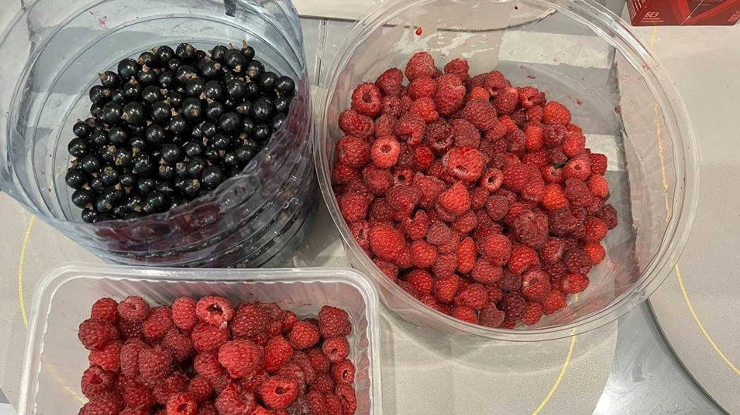 В октябре смородине - обязательно: 2 стакана волшебного средства под куст - и ягод будет тьма-тьмущая. У соседей челюсть отвиснет