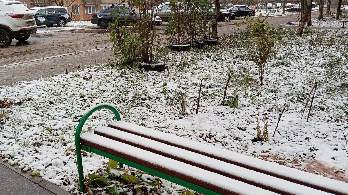 Главная картинка новости: Мокрый снег и заморозки: Гидрометцентр объявил о резком похолодании с 6 июня