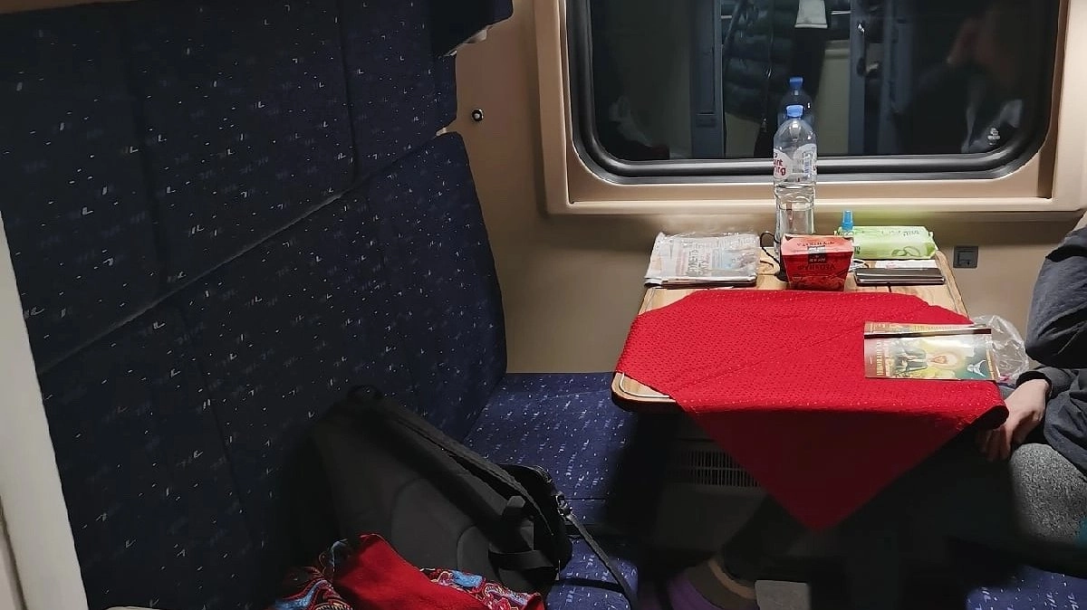 С ребёнком на верхней полке, а рядом дама с псом захватила всё купе: моя поездка не задалась