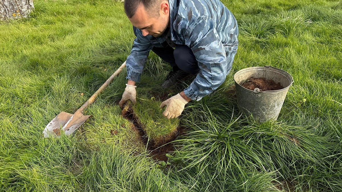 Кроты ушли с участка за неделю: мой проверенный способ борьбы без химии и жестокости