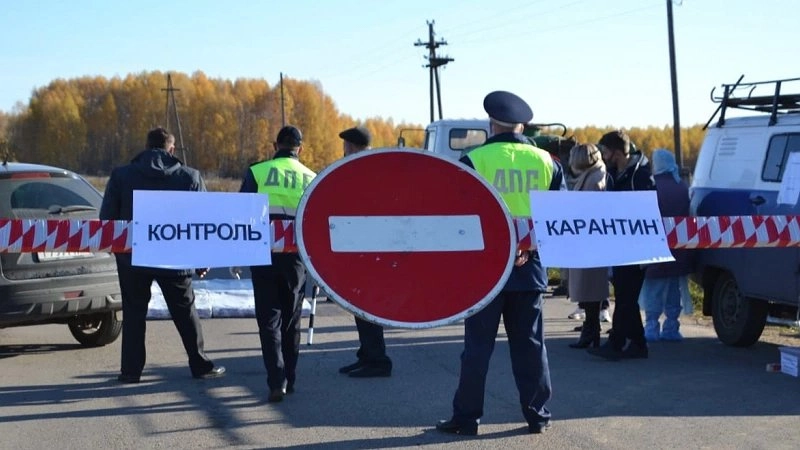 Главная картинка новости: В Яранском районе ввели карантин по африканской чуме свиней