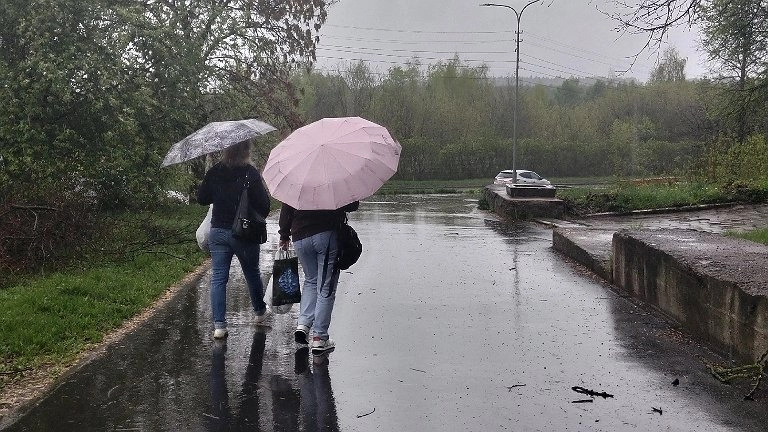 Дожди разрушили сразу шесть участков дороги в Верхнекамском районе