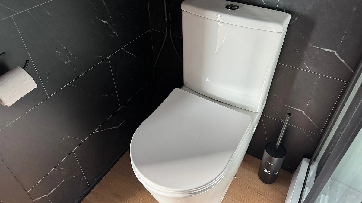 Главная картинка новости: Почему нельзя оставлять открытой крышку унитаза - запомните на всю жизнь