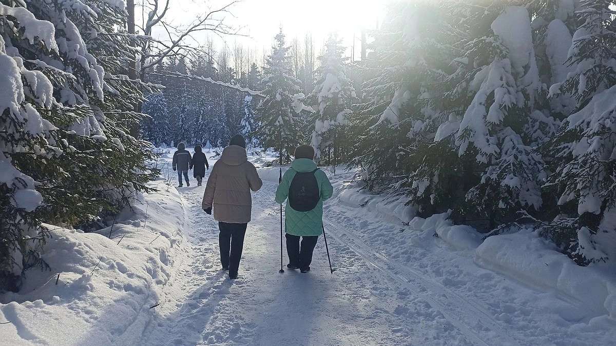 Пенсии 4 млн россиян вырастут с 1 апреля 2026 года - что заявил Мишустин и какая будет прибавка