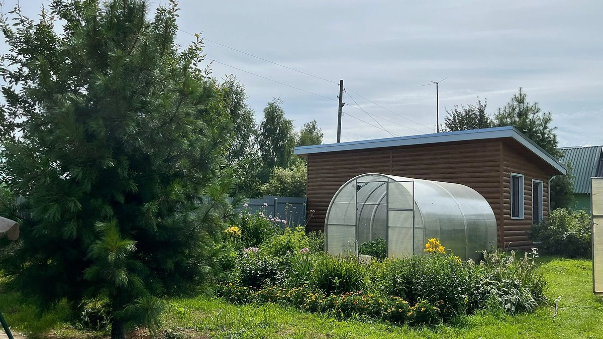 Теплица из поликарбоната - вчерашний день: придумали более долговечную замену без трещин, пыли и потёков грязи