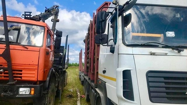 В Тужинском районе рабочий погиб под бревном во время погрузки