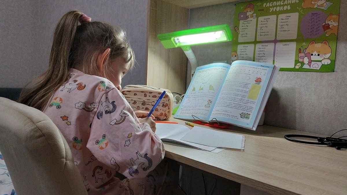 Главная картинка новости: В России предложили ввести 3 оплачиваемых выходных для родителей школьников - что говорят эксперты