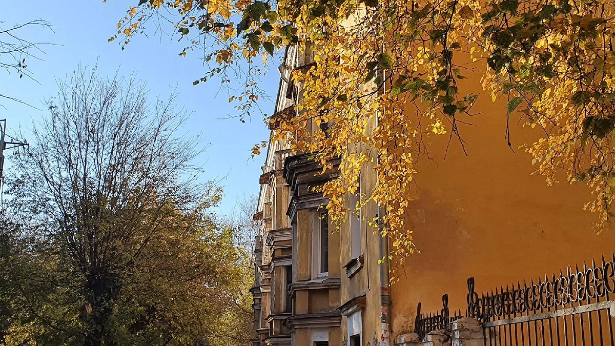 Синоптики рассказали, есть ли шансы на «бабье лето». Чего ждать от погоды в августе и сентябре