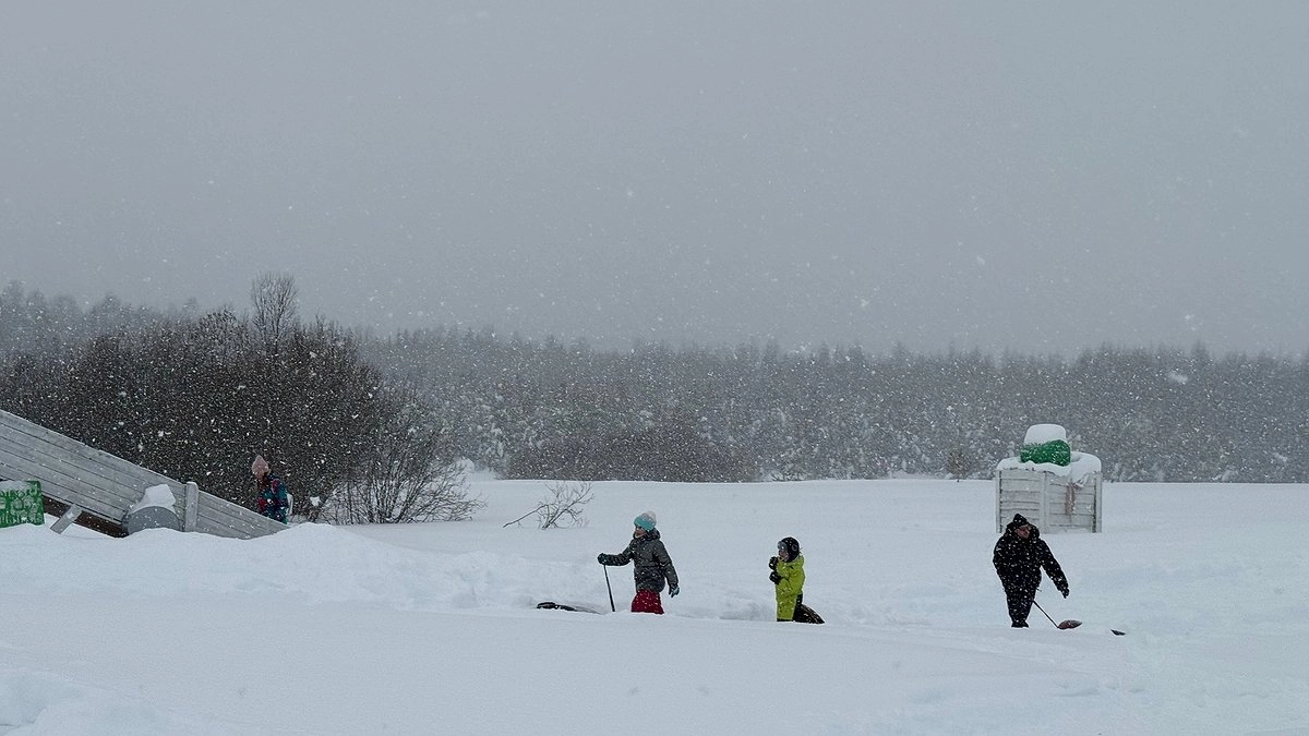 Главная картинка новости: Грядет самая необычная весна за 21 век: синоптики честно ответили, чего ожидать россиянам в 2026-ом