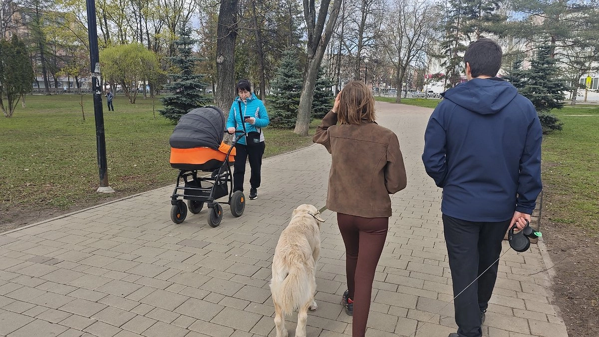 Какая погода будет в Кирове в июне: новый прогноз от синоптиков