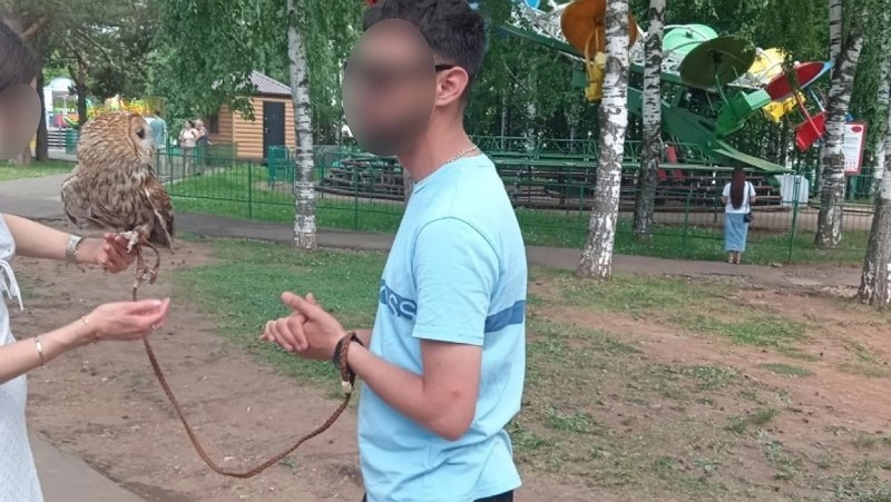 "Птиц эксплуатируют": кировчане бьют тревогу из-за уличных фотографов с совами