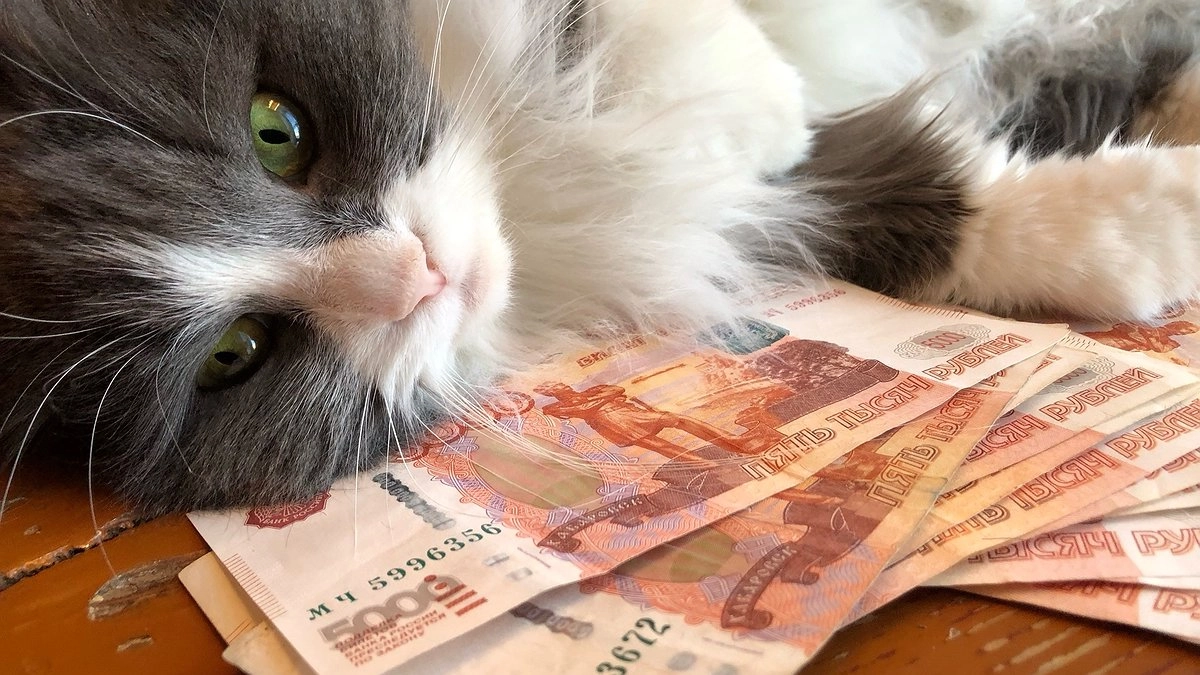 Запомните эти даты, они приносят удачу: названы дни, когда чаще всего выигрывают миллионы в лотерею