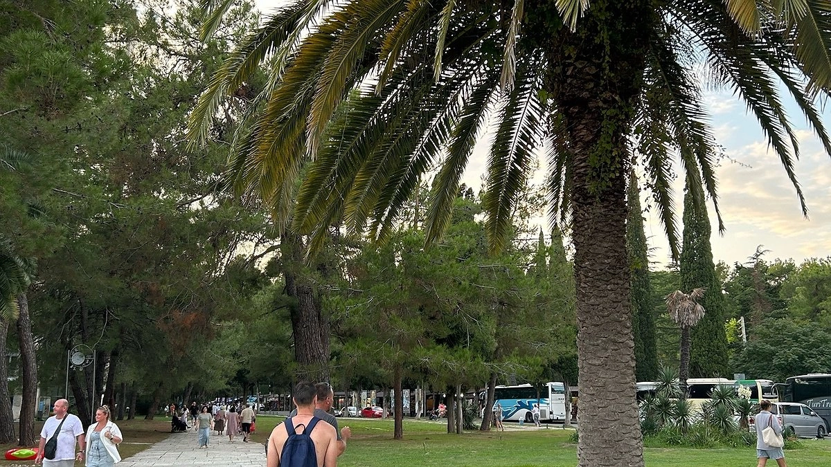 "Одни попрошайки и разгромленные дома": россиянин поделился честным отзывом об отдыхе в Абхазии