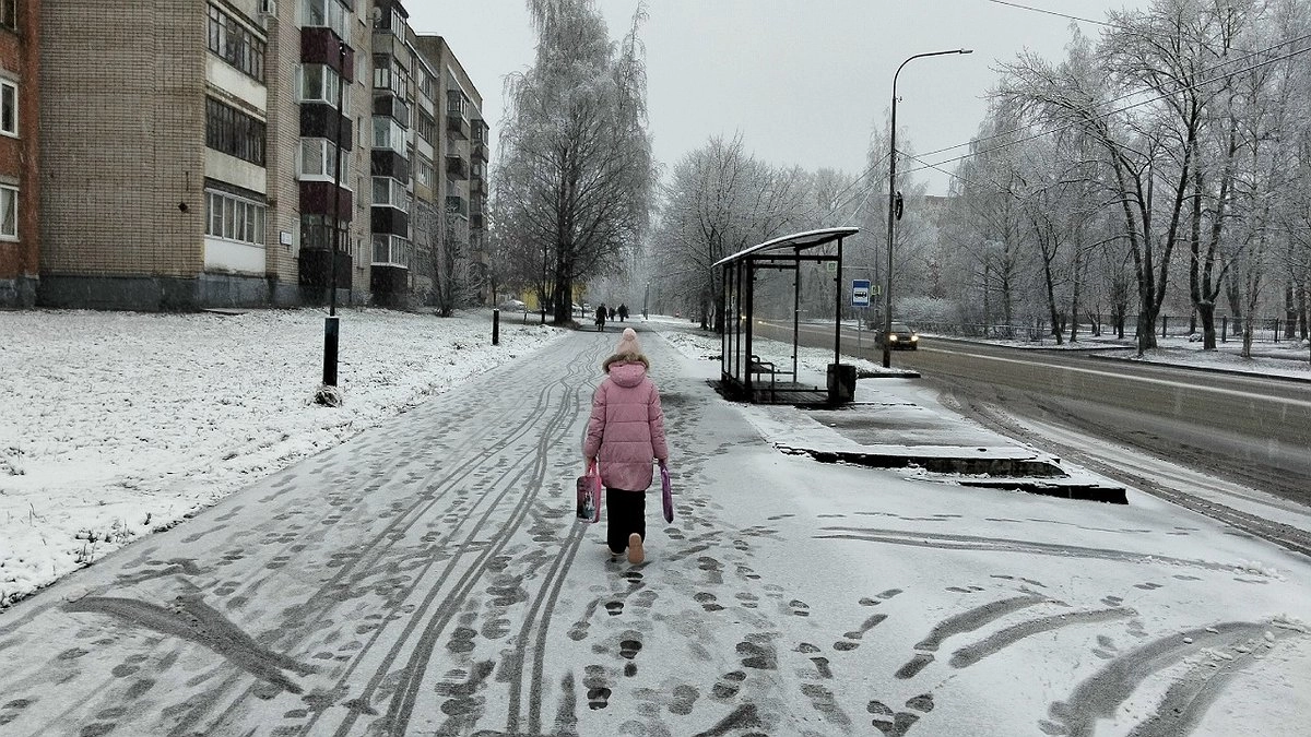 Мокрый снег, дожди и скачки температур: известен прогноз погоды на последнюю неделю ноября в Кирове