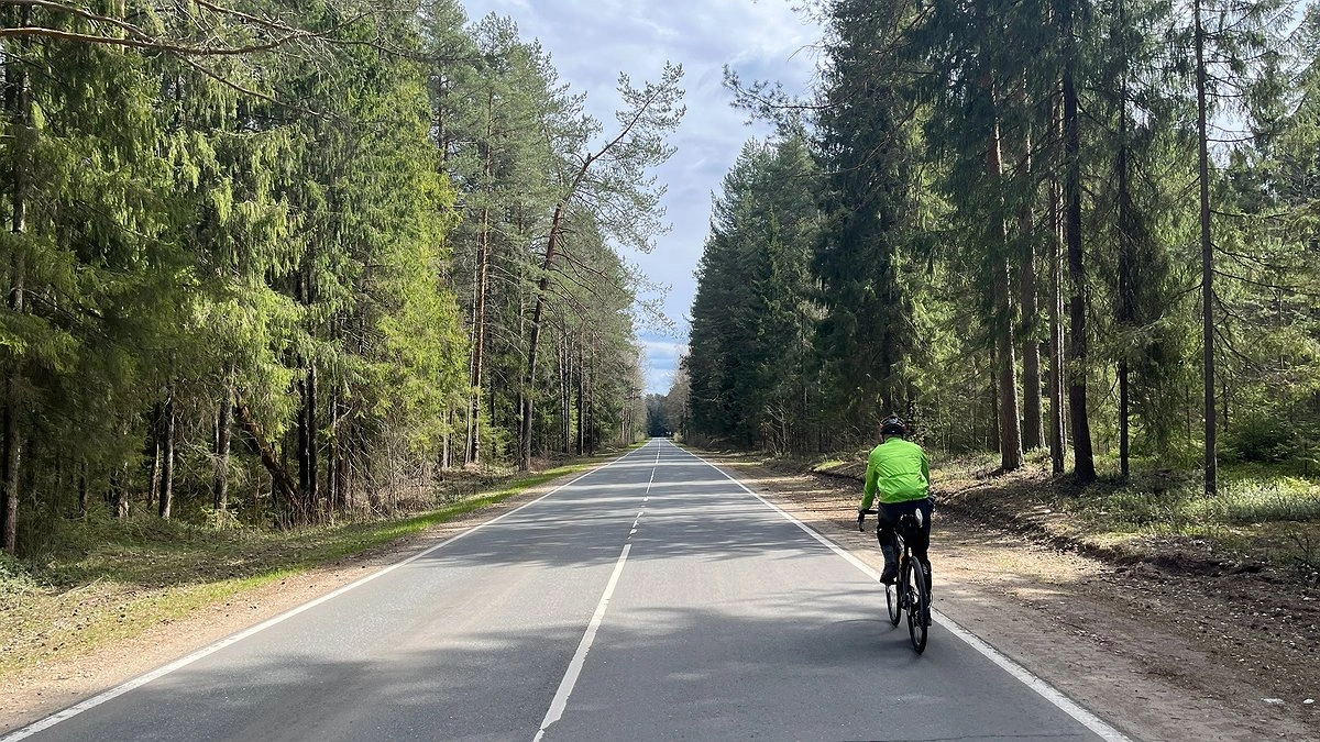 Главная картинка новости: В Великорецком создадут экологическую тропу