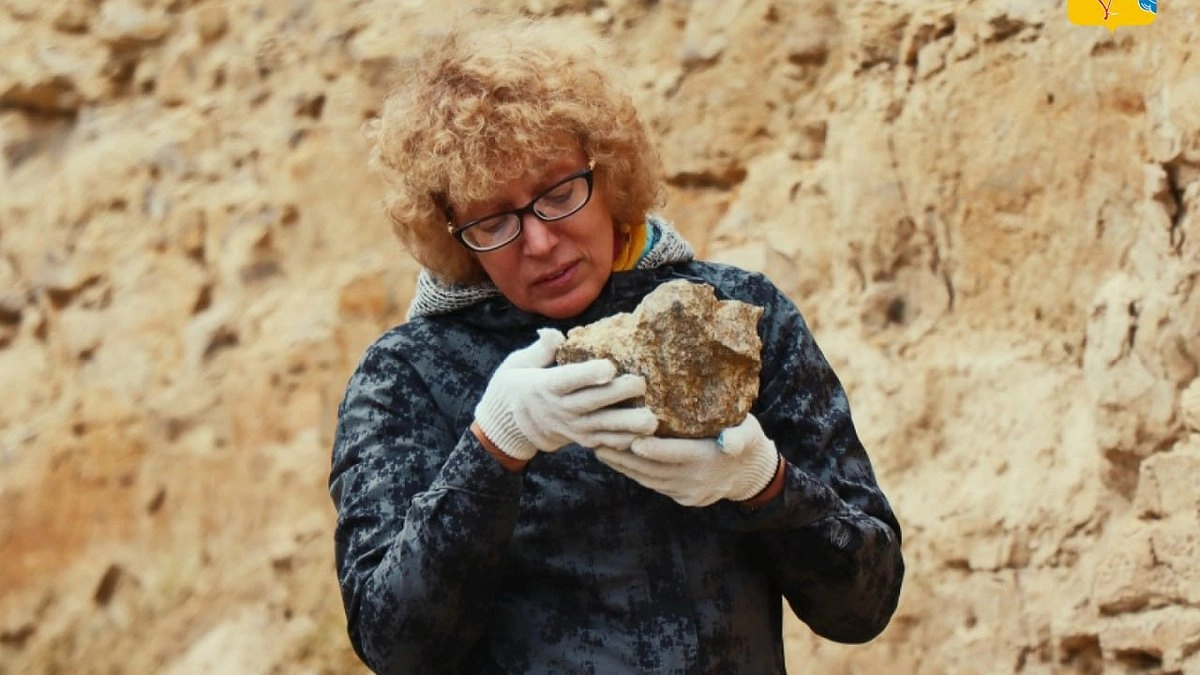 Главная картинка новости: Вятские палеонтологи рассказали о главных находках минувшего года