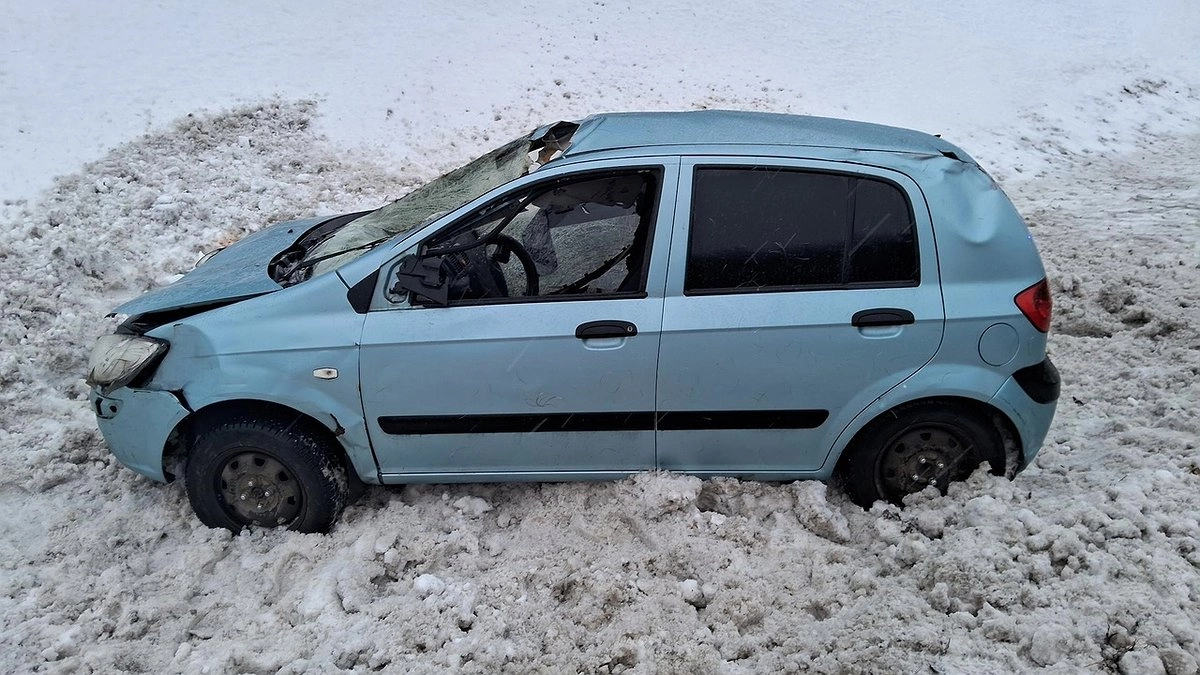 11 аварий с лосями за январь: в Кировской области участились ДТП с дикими животными